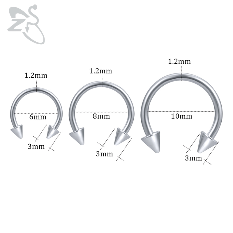ZS Horseshoe 316L Surgical Ste - Zs Body Jewelry review and price