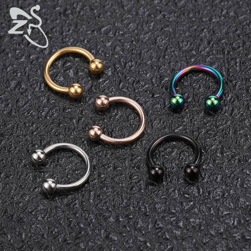 ZS Horseshoe 316L Surgical Ste - Zs Body Jewelry review and price