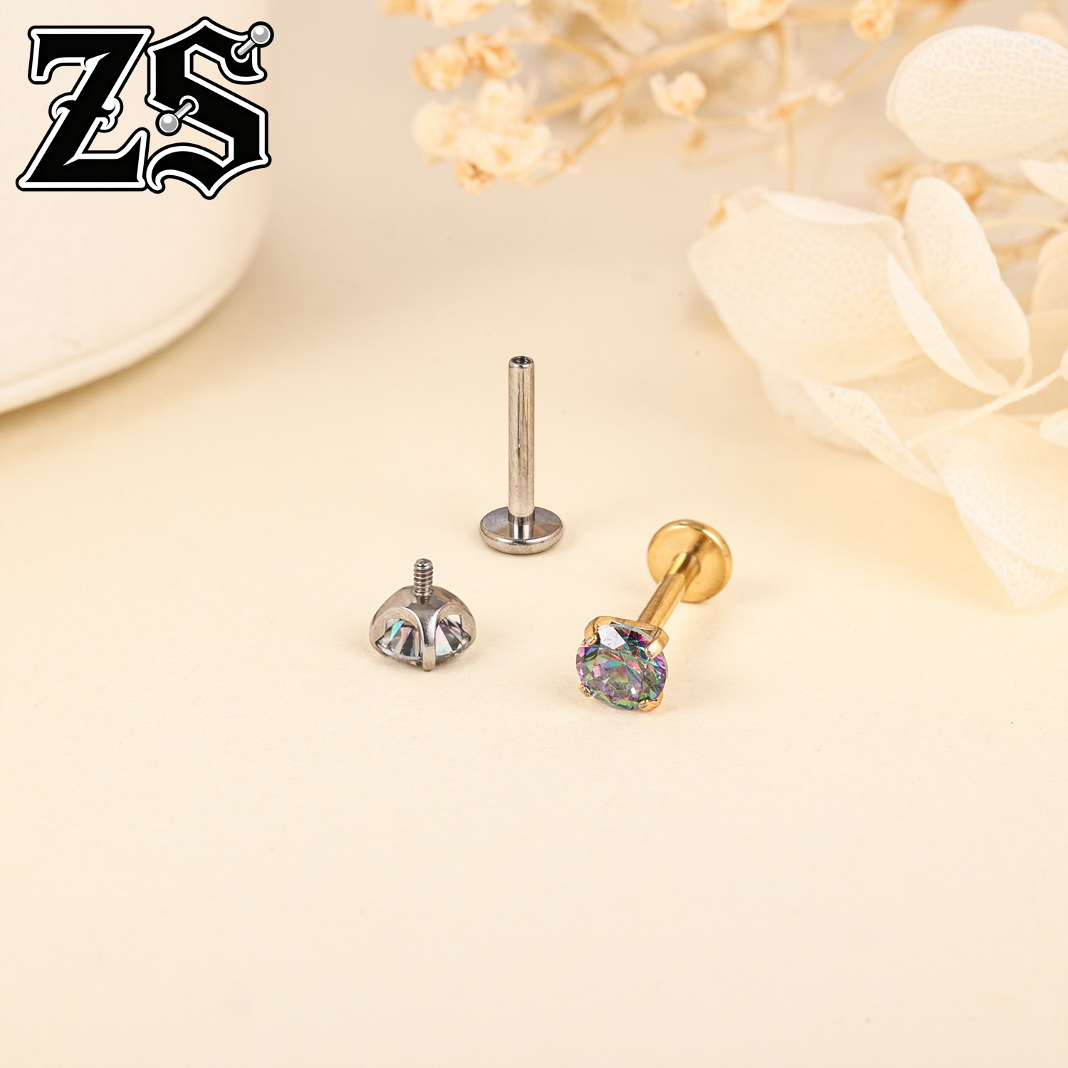 ZS ASTM F136 Titanium 1 PC/1 P - Zs Body Jewelry review and price