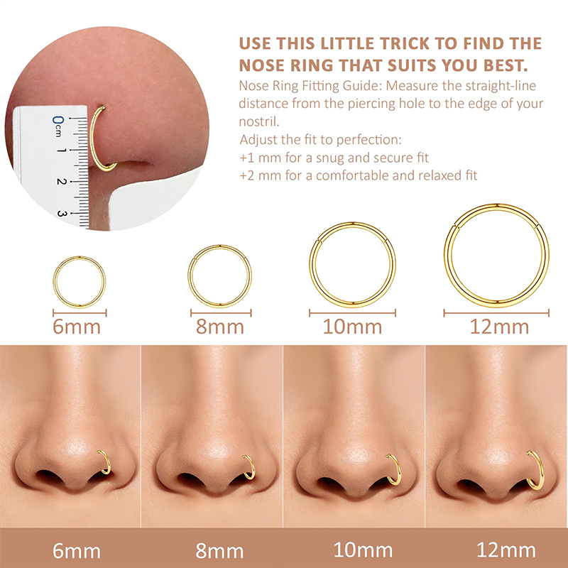 16G 316L Surgical Steel Hinged - Body Jewelry Cartilage Earrings review and price